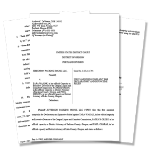 An image of 3 pages of the amended document